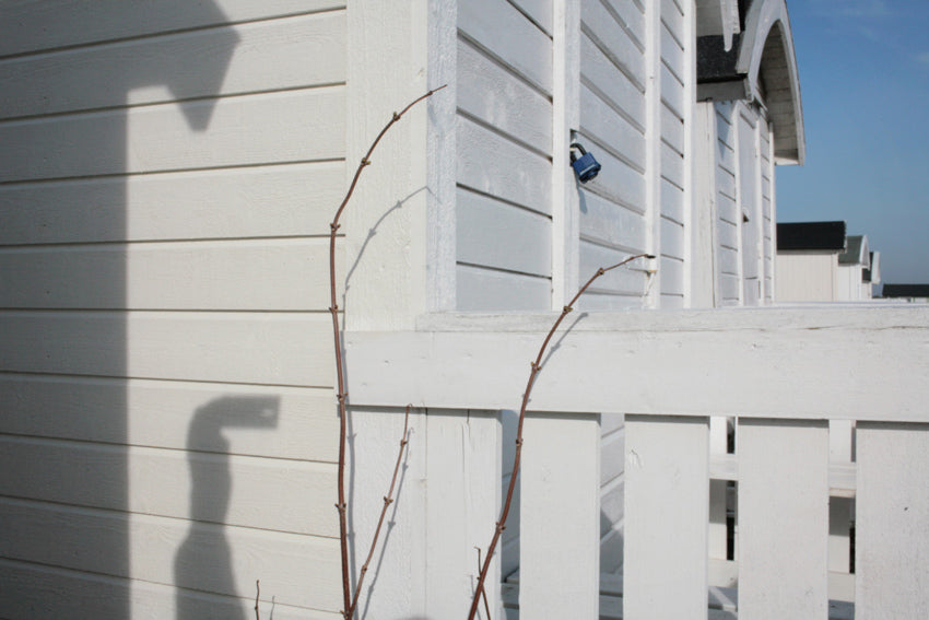 M160 – The Tale of the Underwater World of White Painted Summer Beach Huts in the Southern Province of Scania Part II