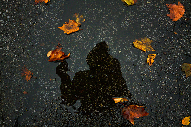 M2 – The Tale of the Halloween Leaf Whisperer or Max Lindquist in: The Whisperer of Leaves in the Southern Province of Scania