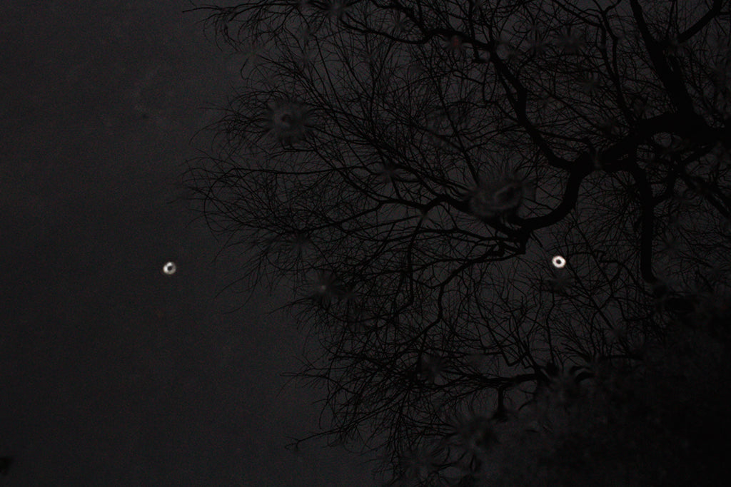 M563 – Untitled