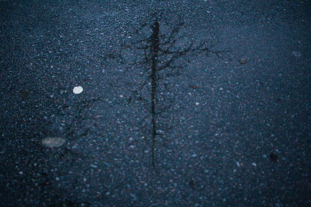 M407 – Untitled