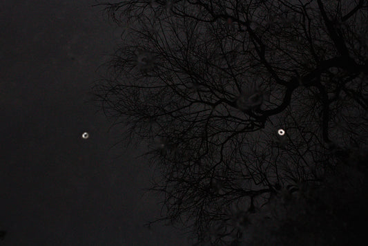 M563 – Untitled