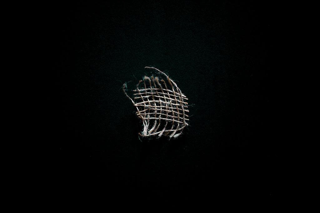 M509 – Untitled