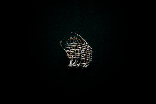 M509 – Untitled